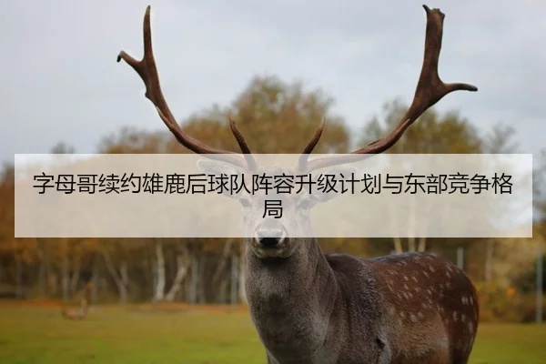 字母哥续约雄鹿后球队阵容升级计划与东部竞争格局